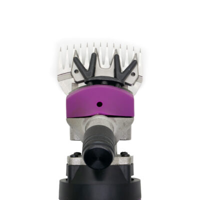Hochleistungs-Teppichschurmaschine – Bild 3